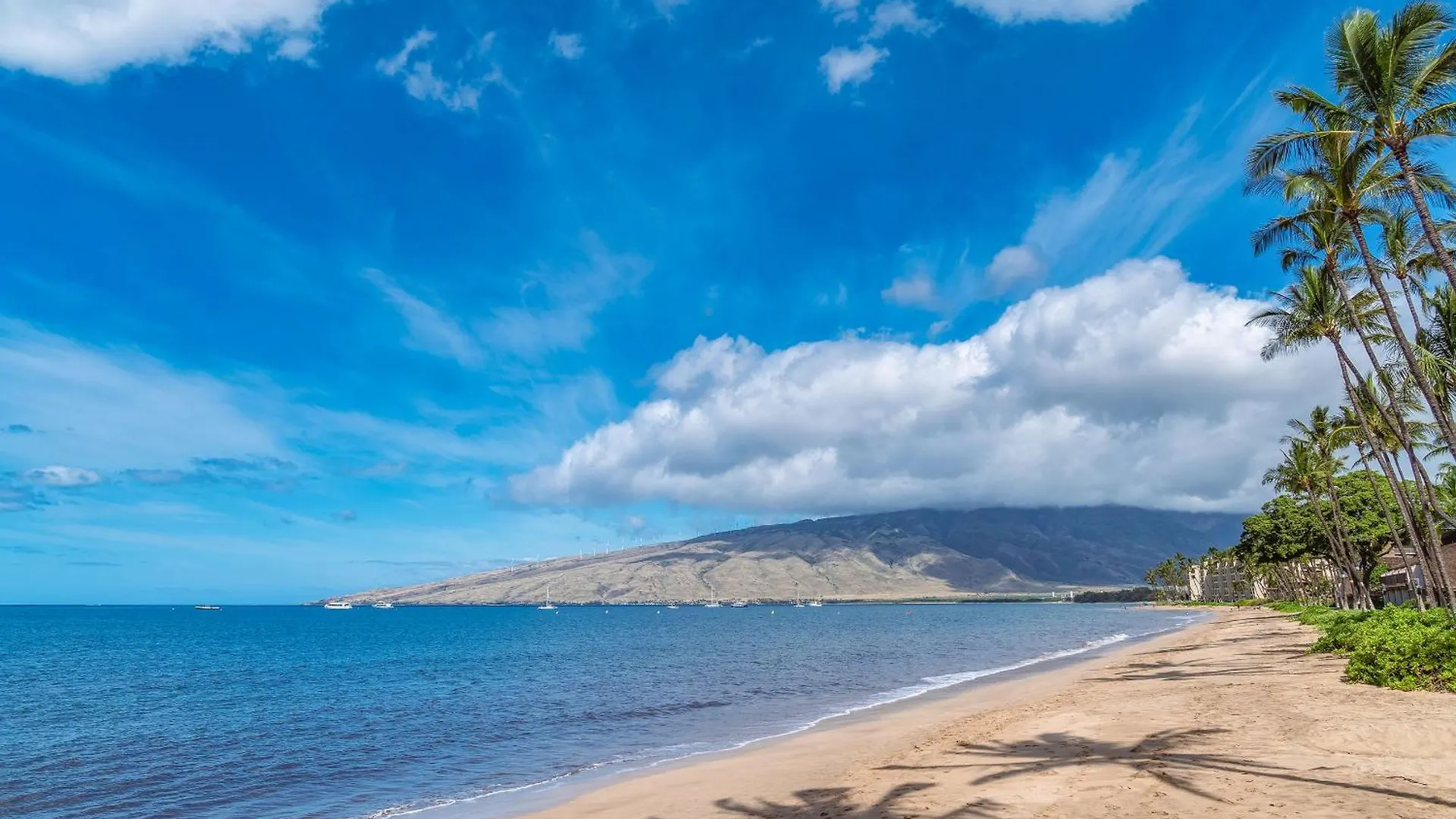 Holiday home Kihei Beach 606 - Direct Ocean Front, Central Ac!