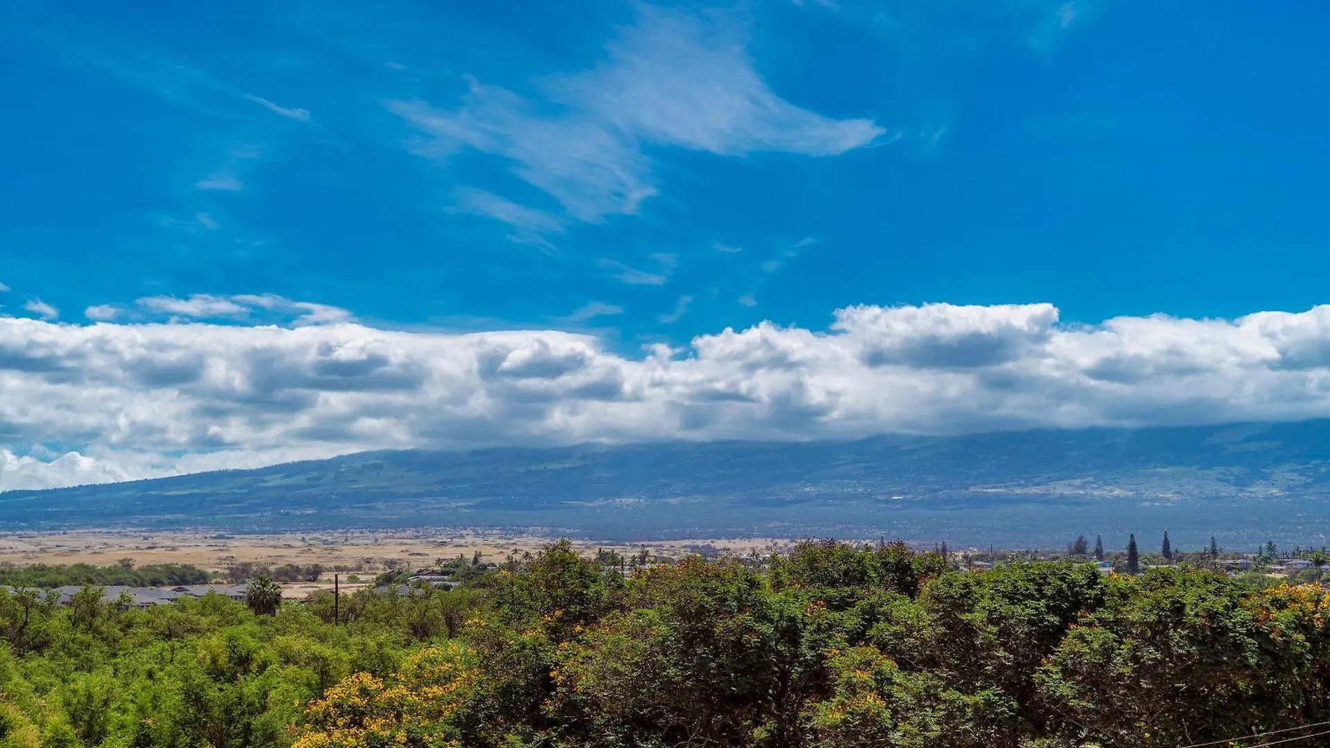 Kihei Beach 606 - Direct Ocean Front, Central Ac! United States
